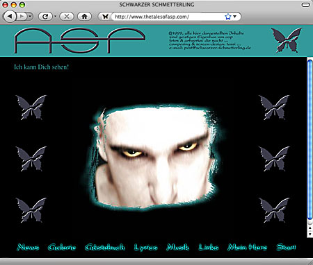 Die erste ASP-Website